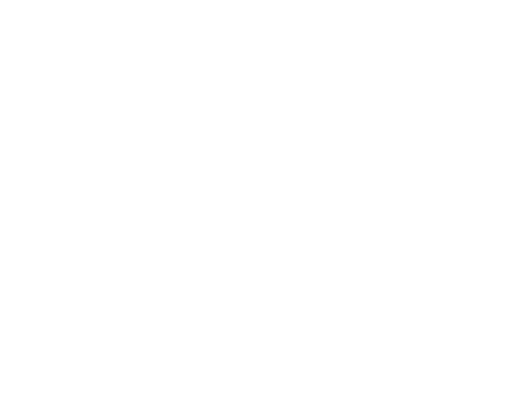 Supplier Logo (Generic 1)